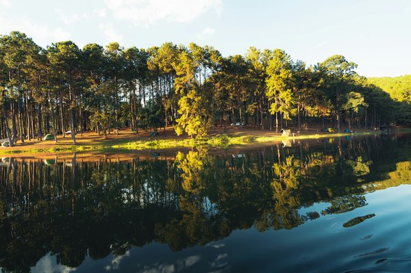 Les avantages de la location à la nuit pour les voyageurs